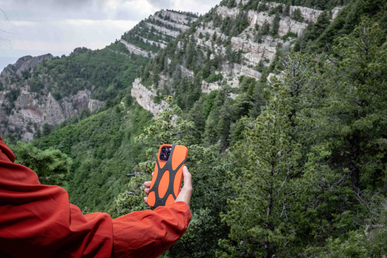 closeup of someone's arm reached out taking a selfie with their phone securely tethered to them with the Koala case, tops of the Sandia Mountains covered in greenery in the background