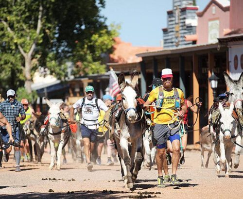 A group of runners in action running with burros in a rural New Mexico town