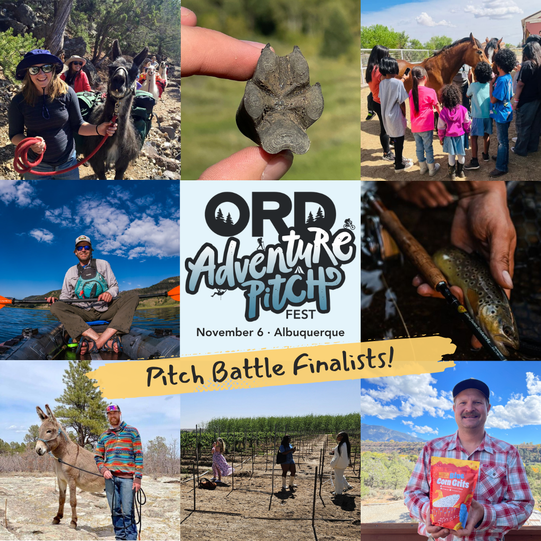 photo grid of people enjoying various outdoor activities demonstrating the 8 adventure pitch fest pitch battle finalists