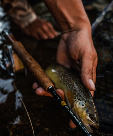 closeup of a handmade fishing rod and hand holding a freshly caught fish