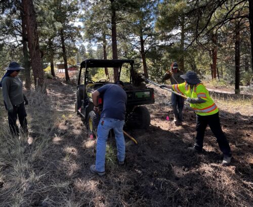 Trailworkers in a forest in action