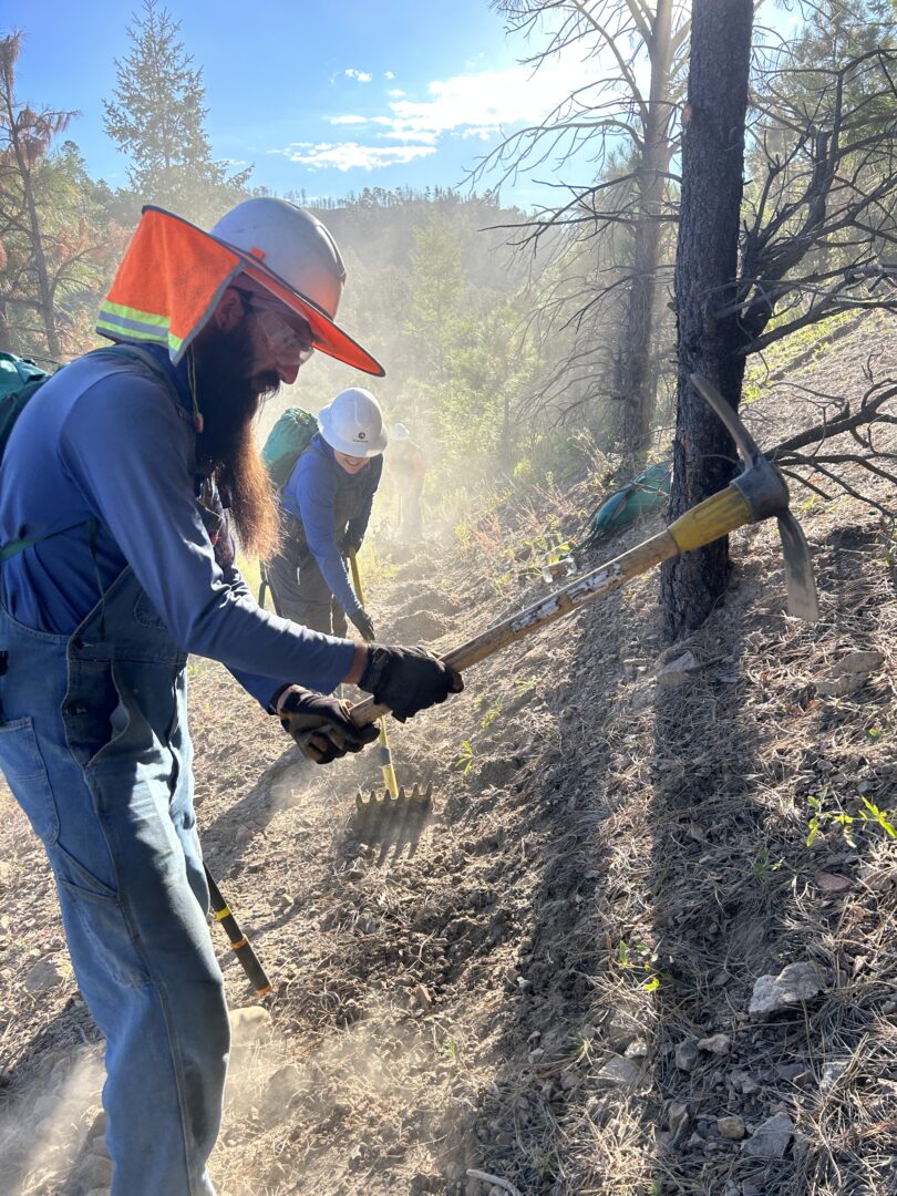 Two trail workers swinging tools in the forest surrounded by a cloud of dust on a sunny day