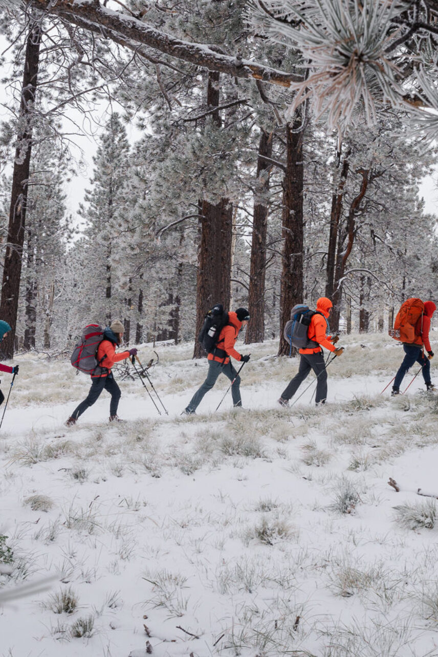 Mobile sized image of five people hiking in the snow with heavy packs and bright red and orange jackets