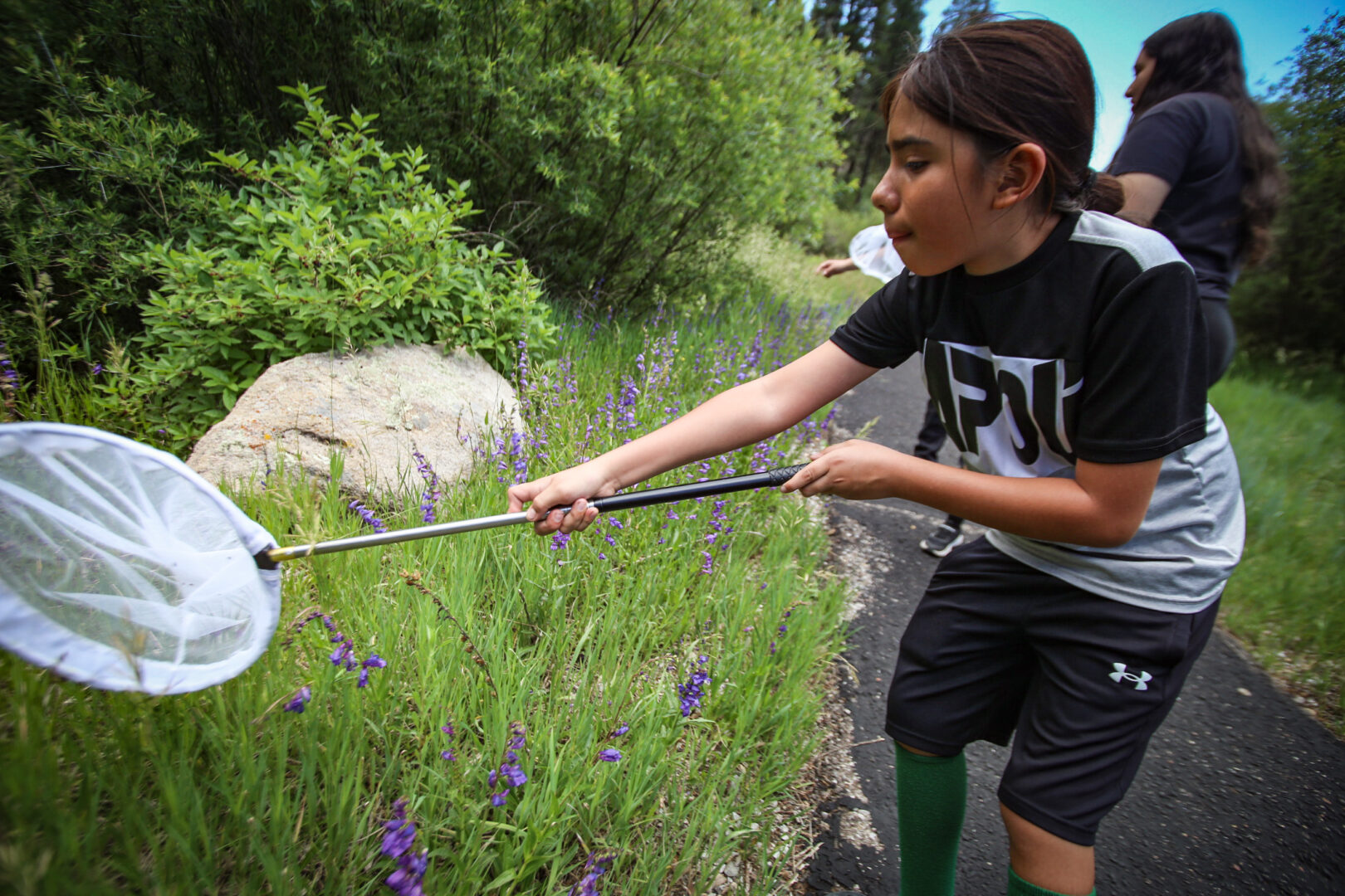A young person swooping a net into a field of flowers looking focused