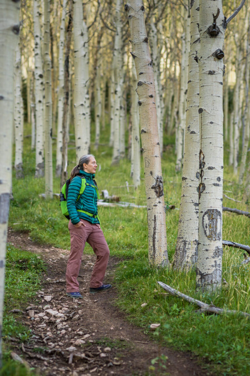 Mobile sized image of Woman in a blue jack pausing on a trail in the midst of hundreds of white aspen trees