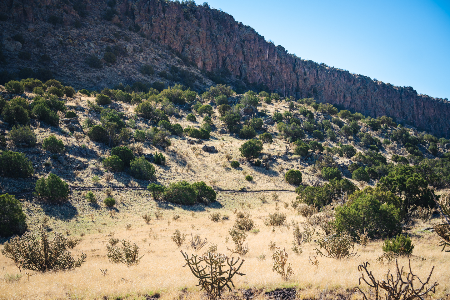 View of a mesa and a line of trail through a yellow grassland with small green trees