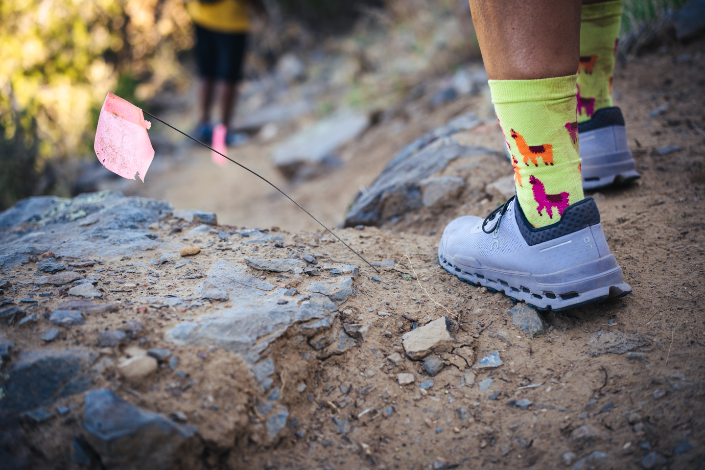 Closeup of a person's hiking shoe next to a trail flag