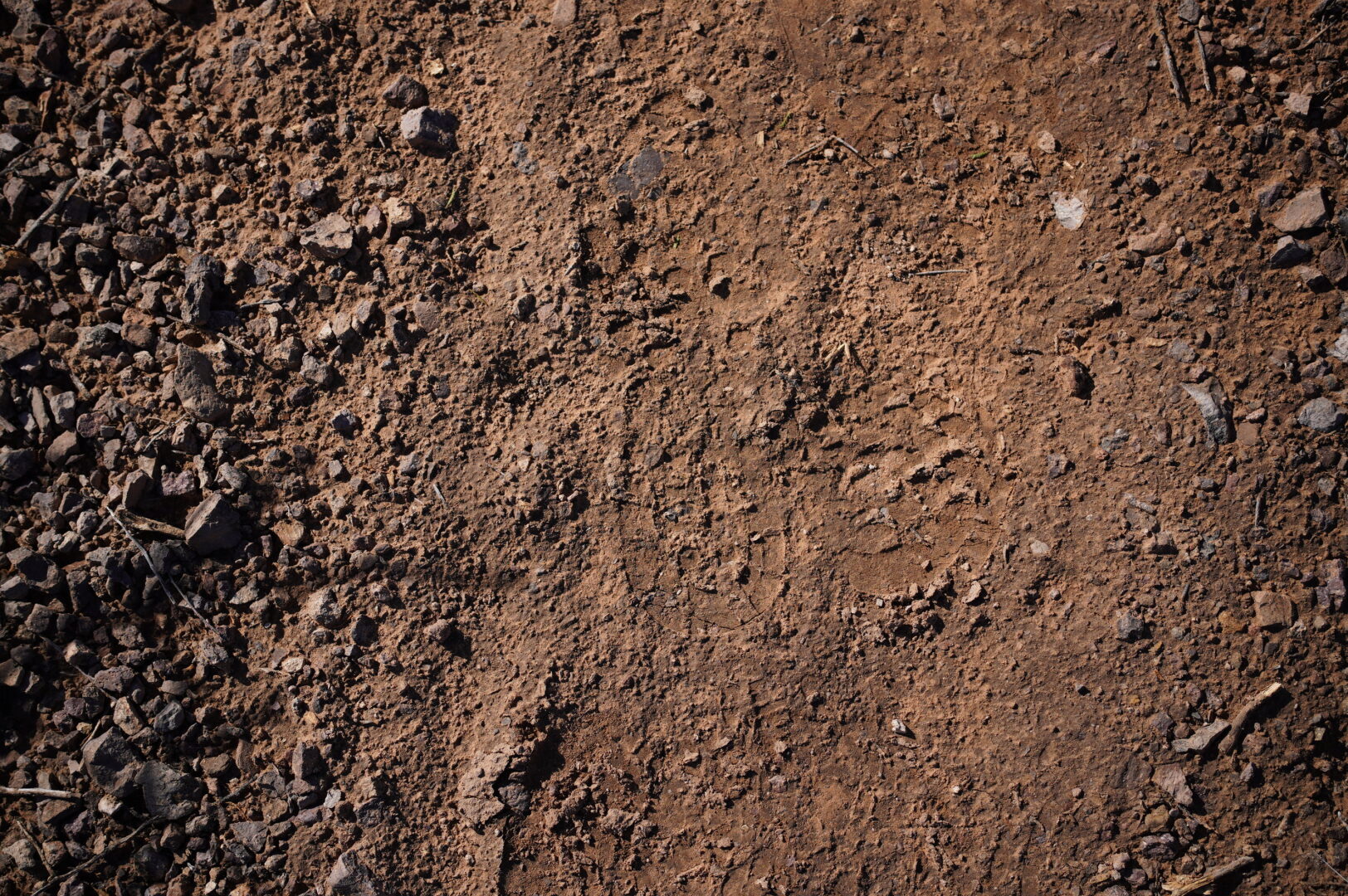 footprints in the brown dirt